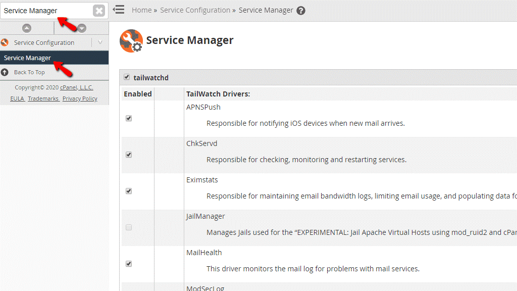 Service Manager