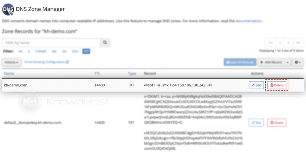select dns record to delete dns manager